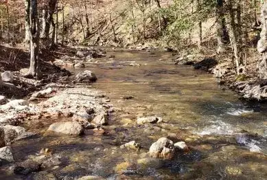 Hanson's Camp Wolf Creek
