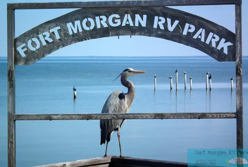 Fort Morgan RV Park