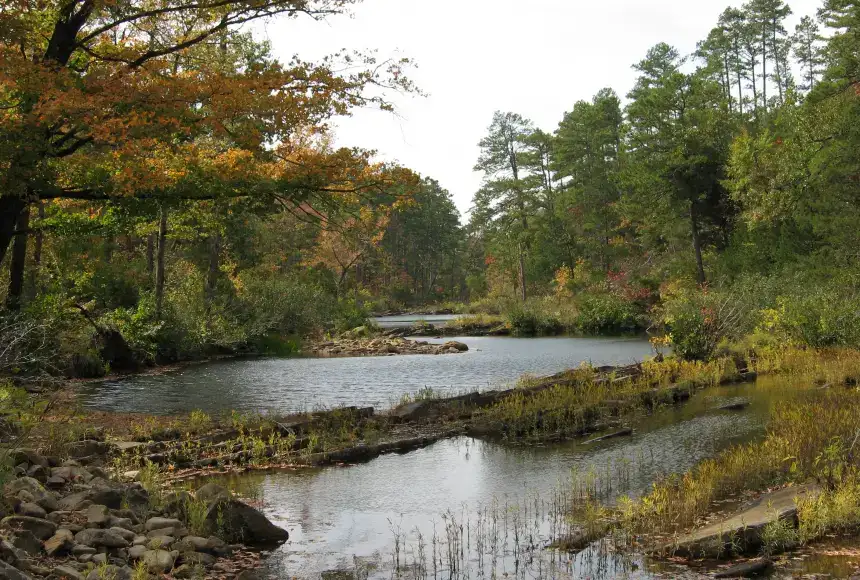 Knoppers Ford Recreation Area & Campground