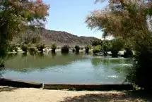 Photo showing Joshua Tree Lake RV & Campground
