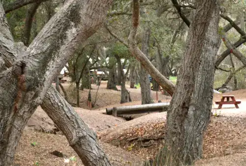 Photo showing Lilac Oaks Camp Ground