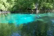 Photo showing Ginnie Springs Outdoors