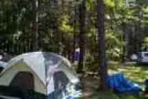 Back Achers Campsites