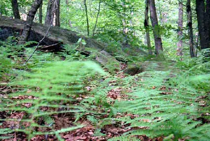 Photo showing Hurd State Park Campground