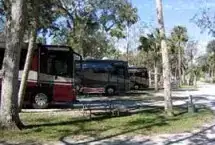 Photo showing New Smyrna Beach RV Park & Campground