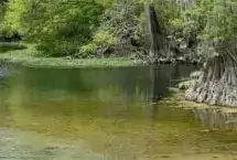 Photo showing Otter Springs RV Resort