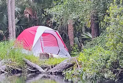 Photo showing Wekiva Falls