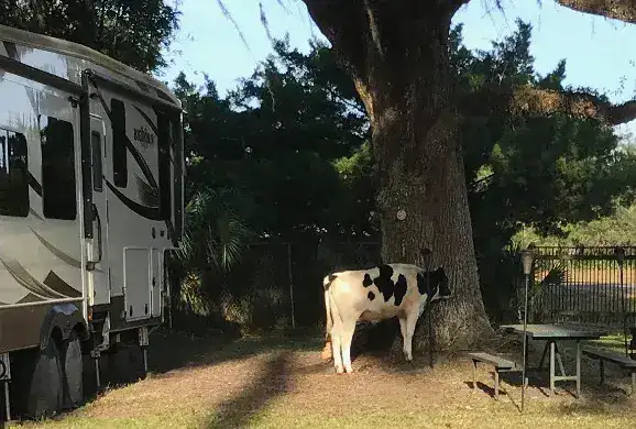 Parramore's Campground & Fish