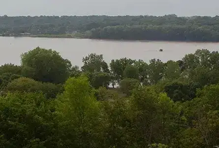 Illiniwek Forest Preserve