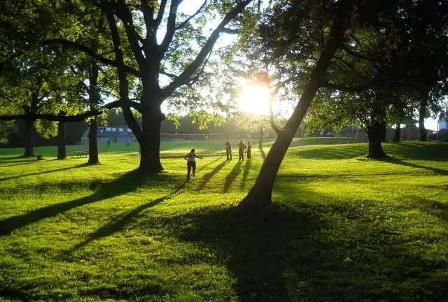 Camp Reynoldswood