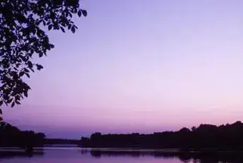 Potato Creek State Park