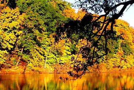 Swan Lake State Park