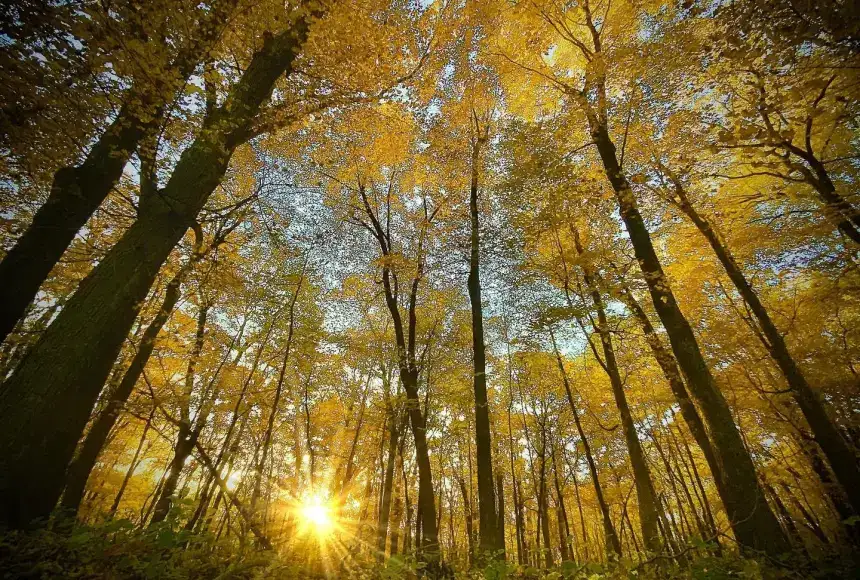 Palisades-Kepler State Park