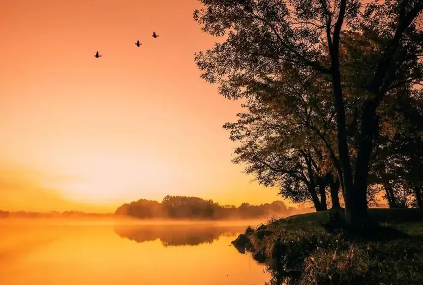 Lake Macbride State Park