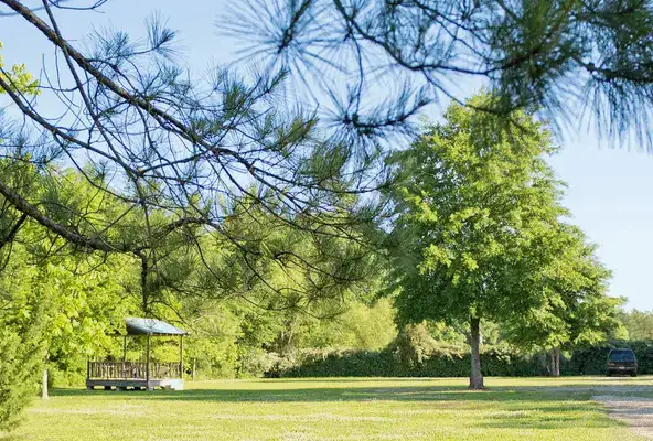 Alice's RV Park
