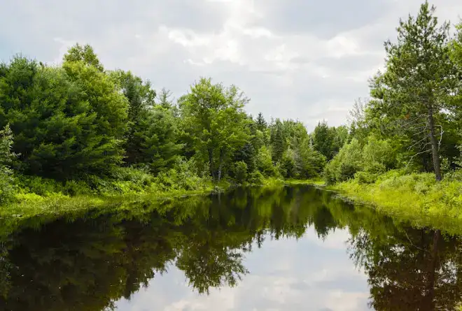 Bar Harbor Camping Resorts - Patten Pond