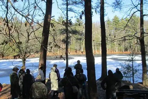 Harold Parker State Forest