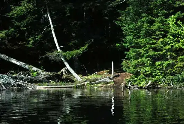 Sylvania Wilderness And Recreation Area