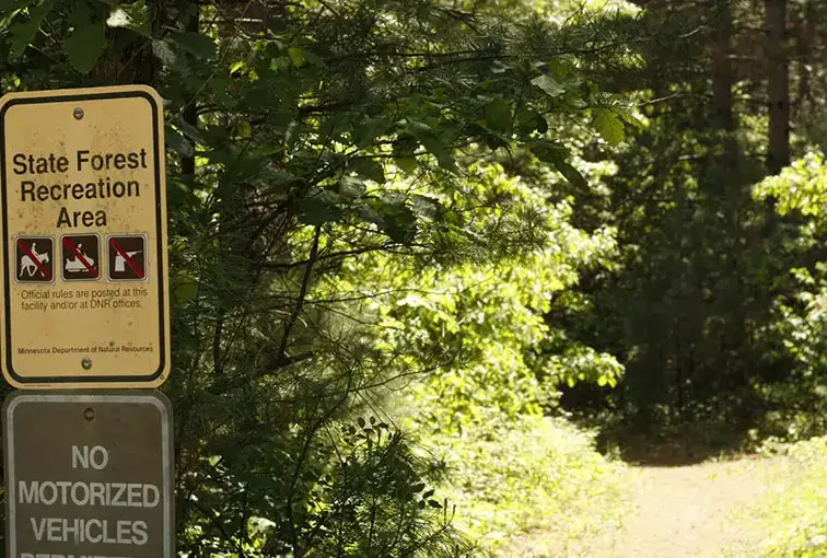 Big Fork River Canoe Campsites