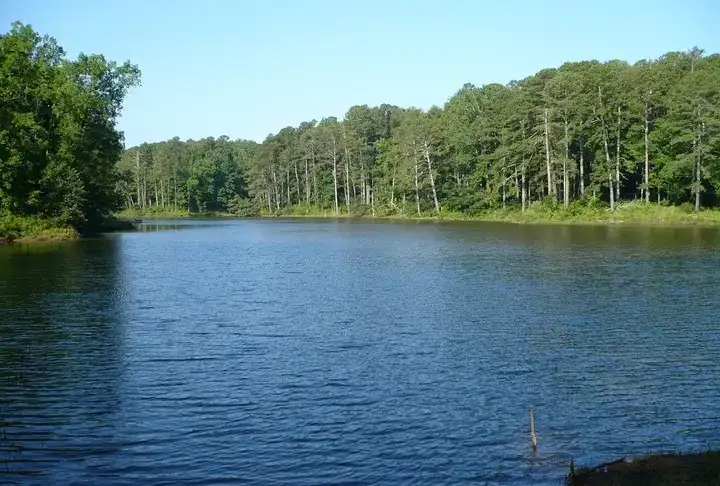 Legion State Park Campground