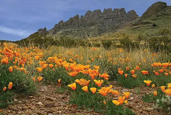 Rockhound State Park