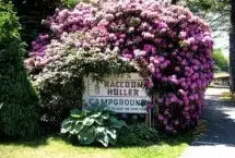 Photo showing Raccoon Holler Campground