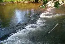 Photo showing Cullasaja River RV Park