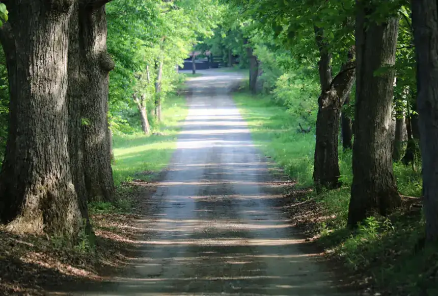 Photo showing Back 40 Campground