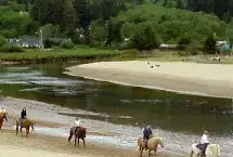 Photo showing Sea Ranch RV Park