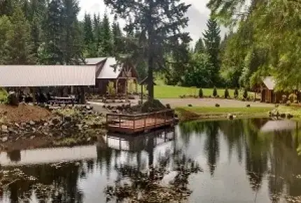 Vernonia Springs