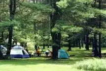 Pine Crest Camping