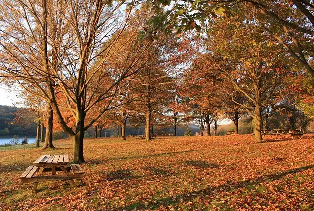 Moraine State Park