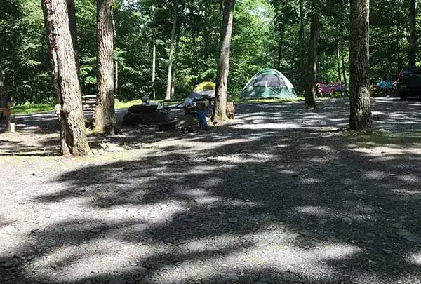 Cranberry Run Campground