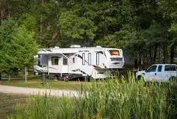 Butterfly And Bee Cabins / Camping