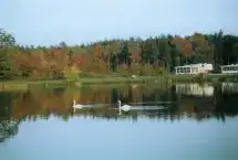 Timber Creek RV Resort