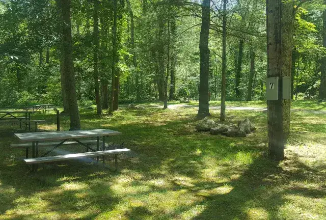 Dyer Woods Nudist Campground