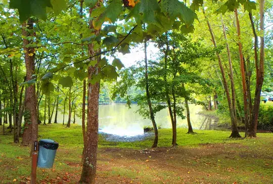 Soaring Eagle Campground