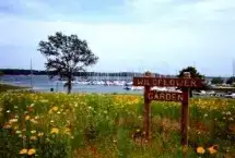 Cedar Mills Marina & Resort
