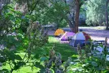 Up The Creek Campground