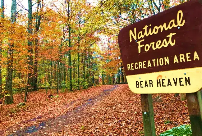 Bear Heaven Recreation Area