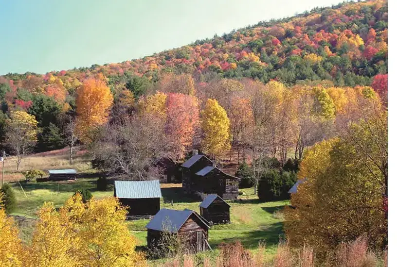 Loafer’s Glory B&B And Campground