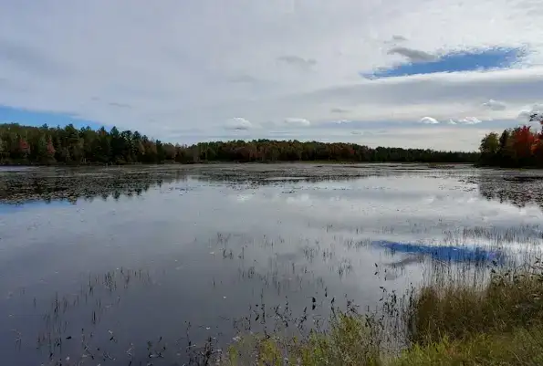 Sailor Lake Campground