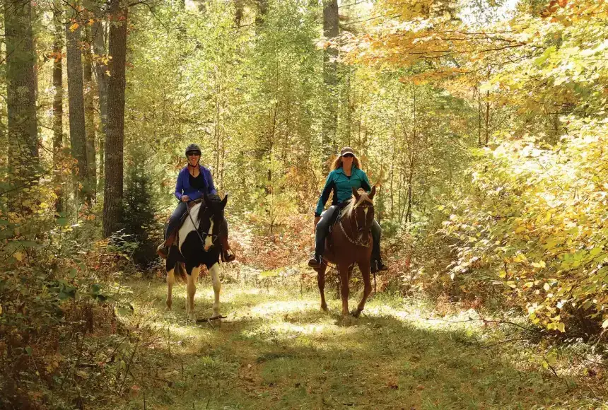 Vilas County Equestrian Trails