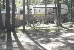Whitetail Ridge Campground / RV Park & Backwood Saloon