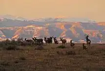 Rangeland Enterprises